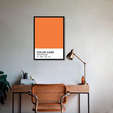 Imagem de Quadro Color Card Celosia Orange 43x30 Caixa Preto