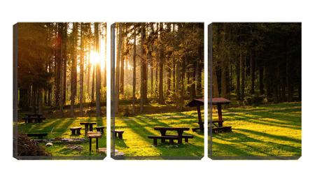 Imagem de Quadro Decorativo 30x66 bancos de madeira no bosque