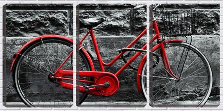 Imagem de Quadro Decorativo 30x66 bicicleta vermelha arte pb