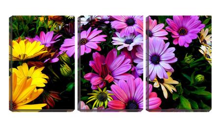 Imagem de Quadro Decorativo 30x66 flores coloridas diversas