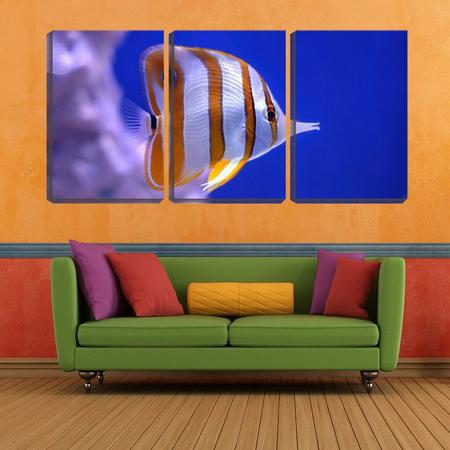 Quadro Decorativo 30x66 peixe ornamental no mar - Crie Life Imagem de Quadro Decorativo 30x66 peixe ornamental no mar