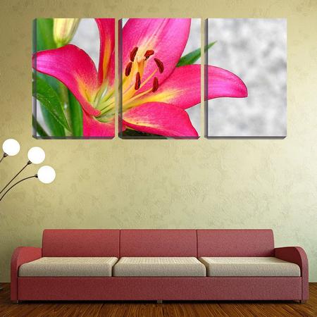 Imagem de Quadro Decorativo 68x126 pólen de flor