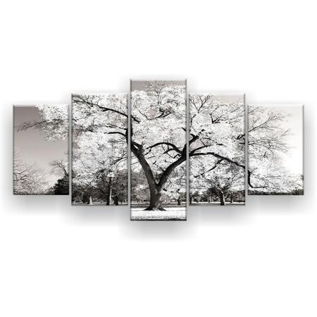 Quadro Decorativo Árvore Grande Branca 129x61 5pc Sala - Império Dos Quadros Imagem de Quadro Decorativo Árvore Grande Branca 129x61 5pc Sala