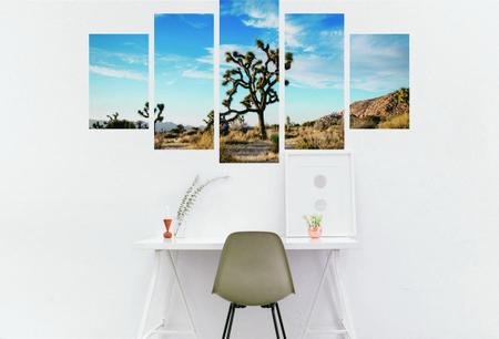 Imagem de Quadro Decorativo Cactos Kit Em MDF