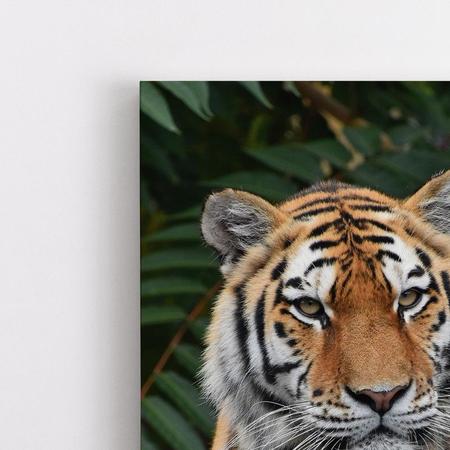 Quadro Decorativo Canvas Animal Selvagem Tigre Por do Sol