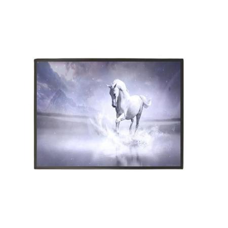 Imagem de Quadro Decorativo Cavalo Branco 20X30Cm