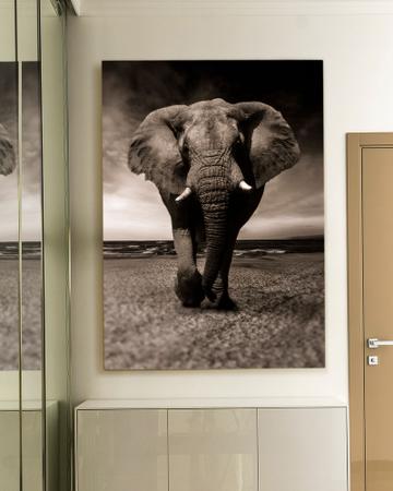 Imagem de Quadro Decorativo Elefante Canvas 50x70 - Foto Paulista