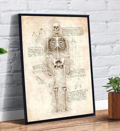 Imagem de Quadro Decorativo Esqueleto Humano Anatomia