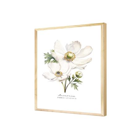 Imagem de Quadro Decorativo Flor Anêmona Branca 50x70 Pinus