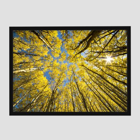 Imagem de Quadro Decorativo Grande Folhagem Moldura e Vidro Natureza  Arvore Amarela