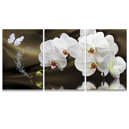 Imagem de Quadro Decorativo para Sala Orquídea Branca Parede Quarto 