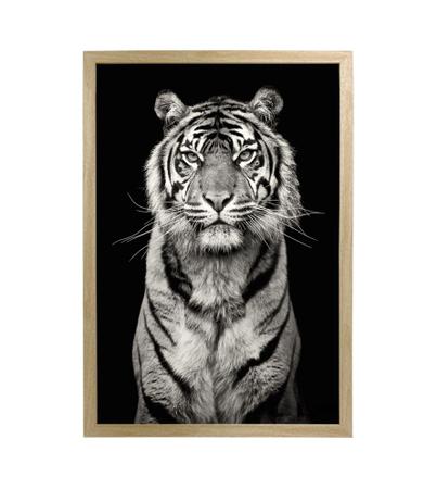 quadro tigre branco casal para decoração 3 peças