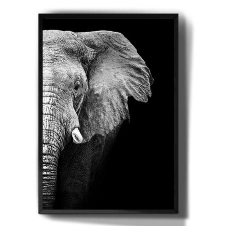 Imagem de Quadro Decorativo Tumblr Elefante Animais Fundo Preto