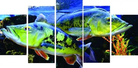 Quadro Pesca Peixe Tucunare Bicuda Cachorrmdf 6mm - Mr Decorações / Paradecoração Imagem de Quadro Pesca Peixe Tucunare Bicuda Cachorrmdf 6mm