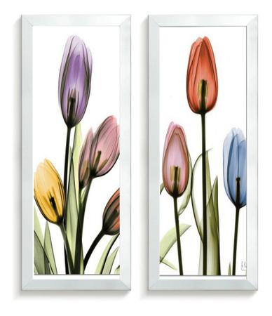 Quadros Decorativo Kit Banheiro Lavabo Kit Quarto Tulipas - Quadros A+ Imagem de Quadros Decorativo Kit Banheiro Lavabo Kit Quarto Tulipas