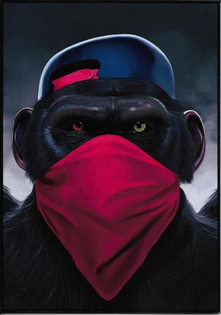Imagem de Quadros Para Decoração Gangue Dos Macacos Sem Moldura  3 Unidades