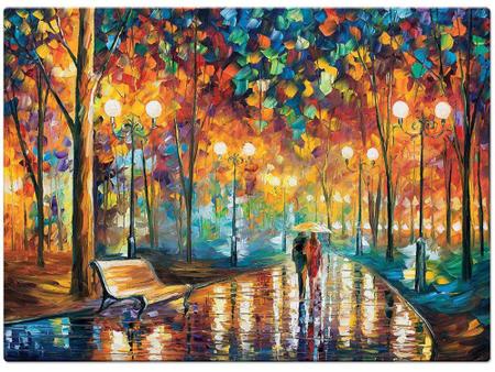 Leonid Afremov - Som da Chuva - Quebra-cabeça 1000 peças - Toyster  Brinquedos, Multicolorido : : Brinquedos e Jogos