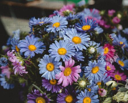 Quebra-Cabeça Flores Cognitivo Reabilitação Flores 90 pcs