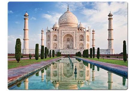 Jogo Quebra - Cabeça do Taj Mahal 1000 Peças Para Montar na Americanas  Empresas