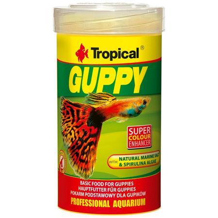 Imagem de Ração para Guppy 20g Aquario Tropical