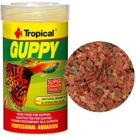 Imagem de Ração para Guppy 20g Aquario Tropical