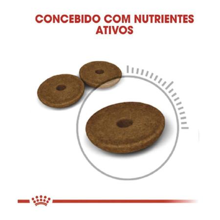 Imagem de Ração Royal Canin Feline Digestive Care Nutrition para Gatos Adultos - 400 g