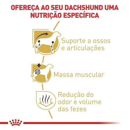 Imagem de Ração Royal Canin para Cães Adultos da Raça Dachshund - 1 Kg