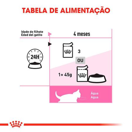 Ração Úmida Sachê Feline Kitten Wet para Gatos Filhotes com até 12 meses da  Royal Canin - 85 g