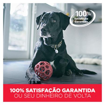 Imagem de Ração Seca Hill's Science Diet Pedaços Pequenos para Cães Filhotes - 800 g