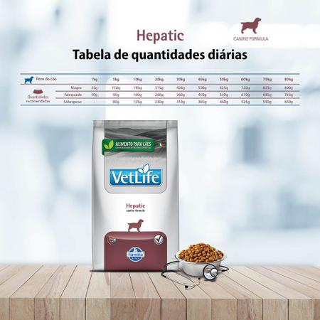 Imagem de Ração Seca Vet Life Natural Canine Hepatic para Cães Adultos com Problemas de Insuficiência Hepática Crônica - 10,1Kg