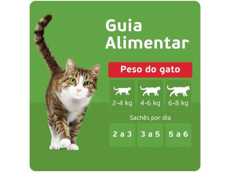 Imagem de Ração Úmida para Gato Adulto Sachê Kitekat - Carne ao Molho 70g