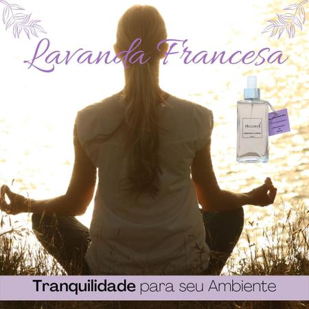 Imagem de Refil Aromatizador Spray Lavanda Francesa Aromá 250ml