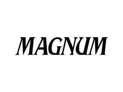 Relógio Masculino Magnum MA33415V