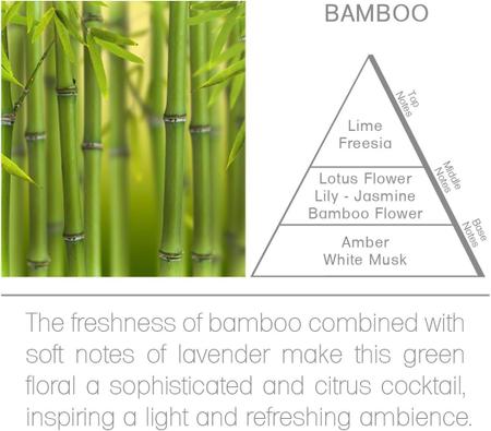 Imagem de Renovador de lençóis acqua aroma dia  200ml bambu chinês