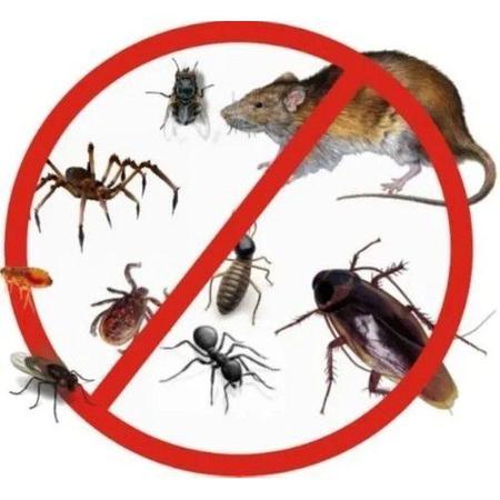 Imagem de Repelente eletrônico rato barata mosquito dengue