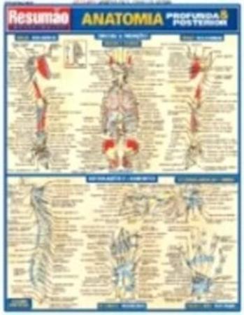 Imagem de Resumão Anatomia Profunda & Posterior - Bf&a