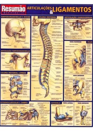 Resumão Articulações e Ligamentos Imagem de Resumão Articulações e Ligamentos