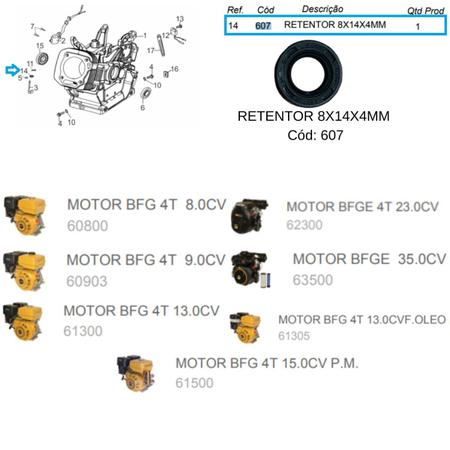 Retentor 8X14X4MM do Motor BFG(E) 15.0cv Buffalo Original Imagem de Retentor 8X14X4MM do Motor BFG(E) 15.0cv Buffalo Original