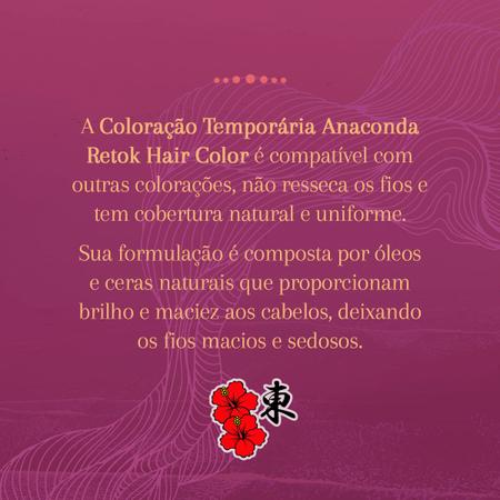 Imagem de Retoque Coloração Instantâneo Bastão Retok Color Stick Hair Anaconda 3g - Batom Cobertura Temporária Cabelos Brancos Grisalhos