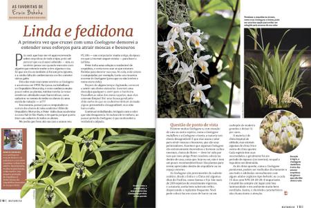 Imagem de Revista Natureza 406