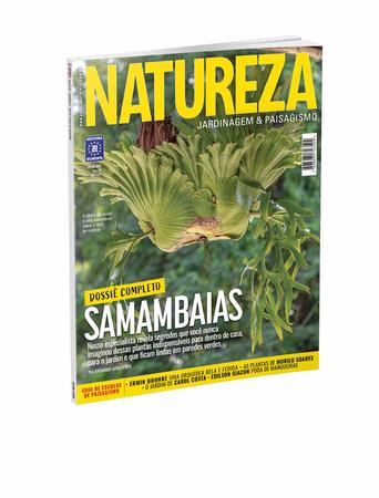 Imagem de Revista Natureza 406