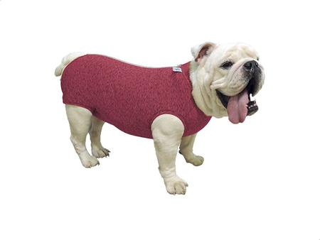 Roupa pos cirurgica buldogue Ingles - P