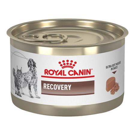 Royal Canin Recovery Ração de Recuperação para Cães e Gatos 195g - Ração  Seca para Gato - Magazine Luiza