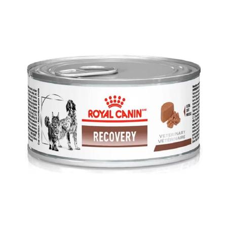 Royal Recovery Wet 195g - ROYAL CANIN - Outros Pets - Magazine Luiza