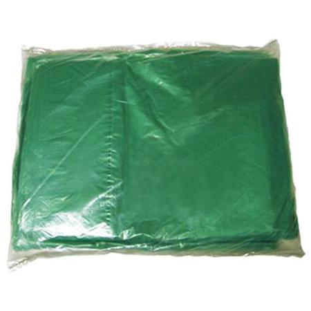 Imagem de Saco de Lixo Econômico 20L Verde 39x58cm 0,005 PT 100 UN Poliplast