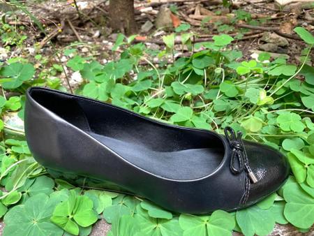 Sapato azaleia sales