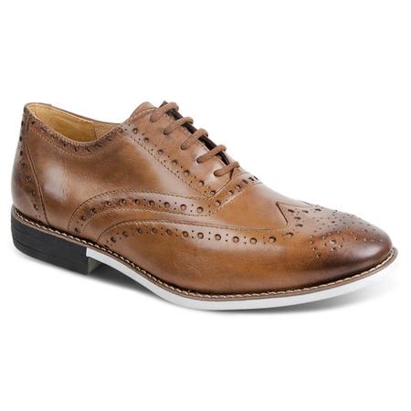 Sapato masculino casual brogue sandro moscoloni pompéia marrom claro tan -  Sapato Casual Masculino - Magazine Luiza