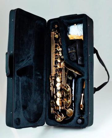 Imagem de Saxofone Alto Mib Preto Com Chaves Douradas HALK