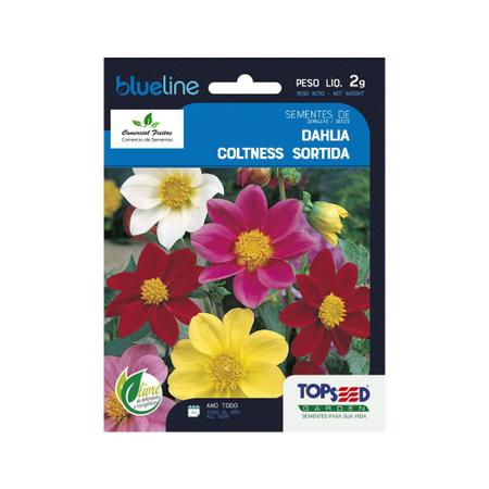Sementes de Dahlia Coltness Sortida Env. C/ 2 Gramas - TOPSEED Imagem de Sementes de Dahlia Coltness Sortida Env. C/ 2 Gramas