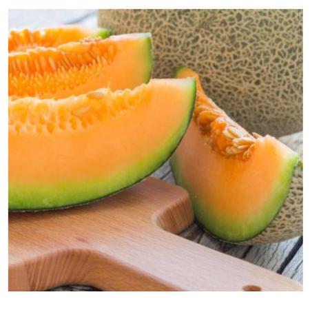 Imagem de Sementes de Melão Cantaloupe Hales Best Jumbo FELTRIN